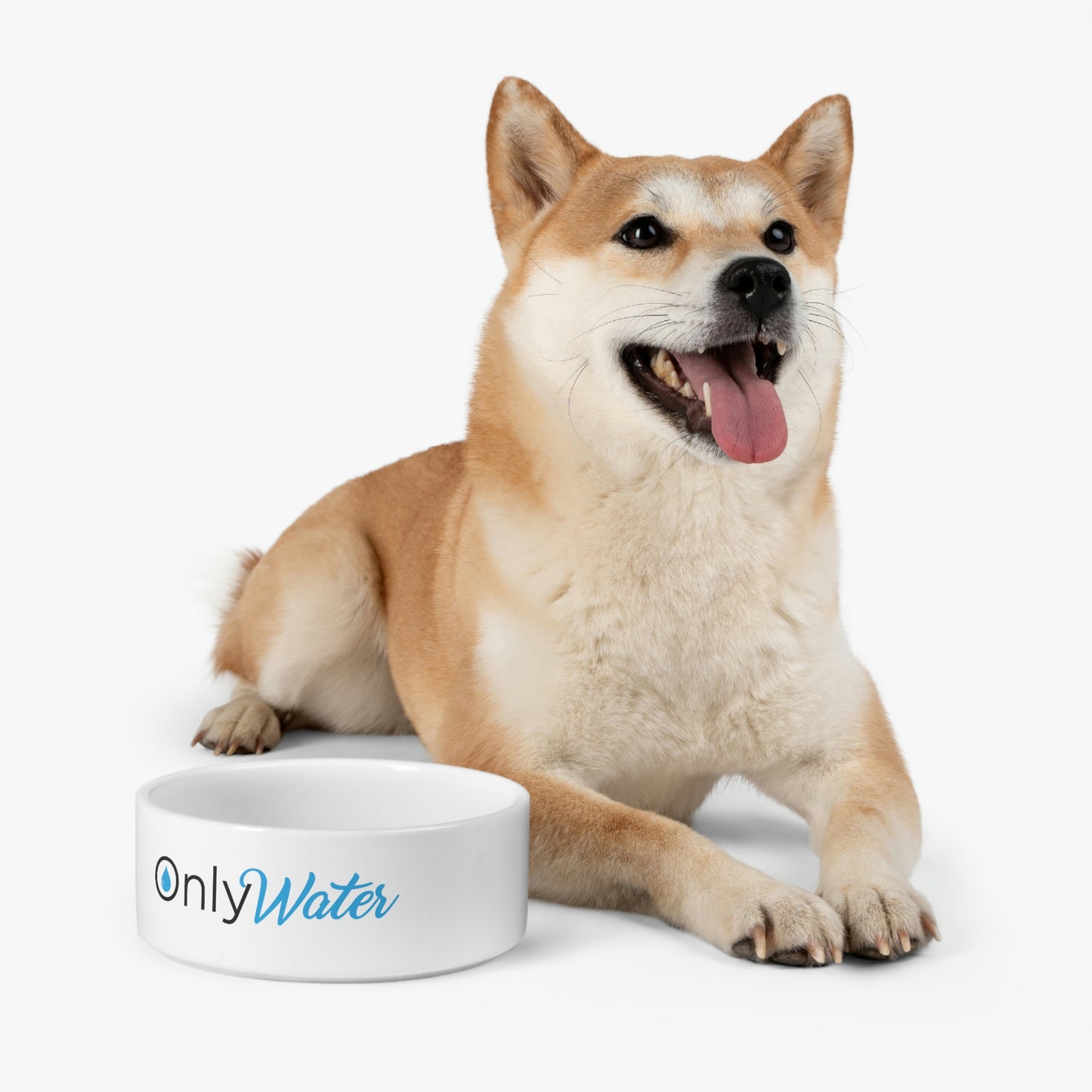 Only Water Pet Bowl